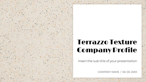 Terrazzo Texture Company Profile Free Google Slides Template