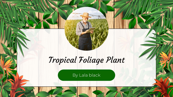 Tropical Foliage Plant Free Google Slides PowerPoint Templates